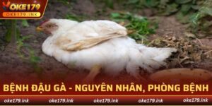 Bệnh đậu gà