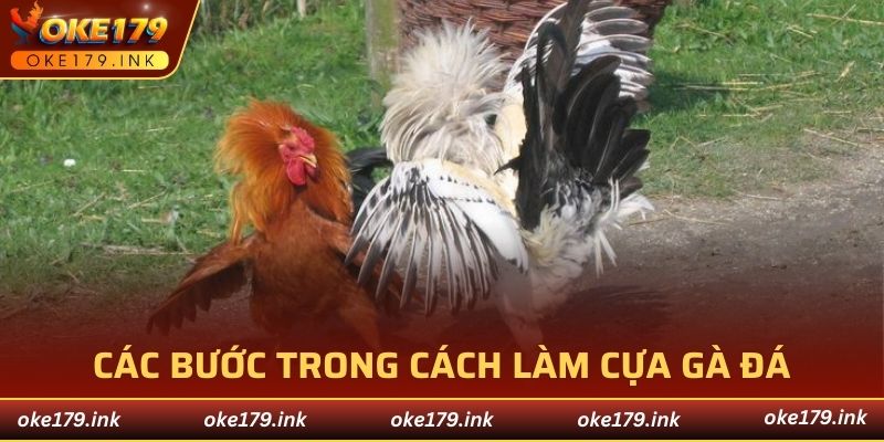 Các bước trong cách làm cựa gà đá