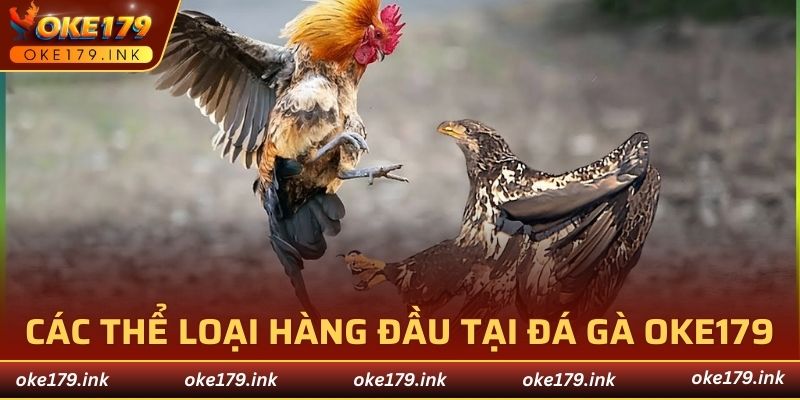Các thể loại hàng đầu tại đá gà OKE179