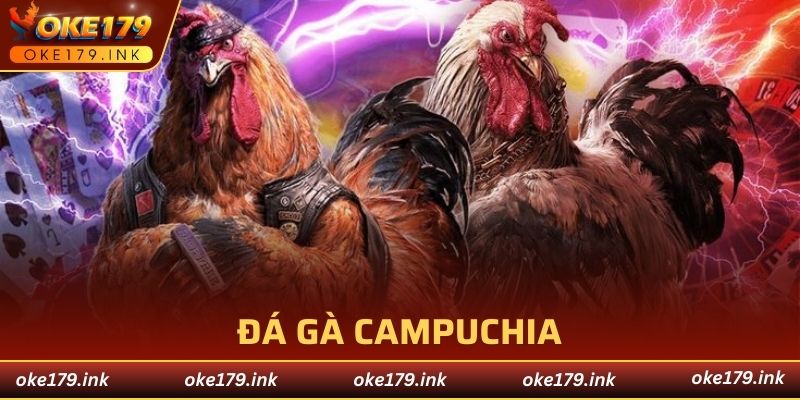 đá gà Campuchia