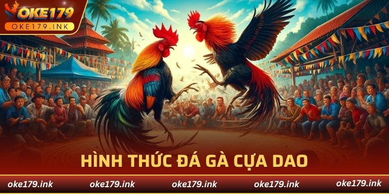 Đá gà cựa dao mang lại trải nghiệm khốc liệt và lôi cuốn