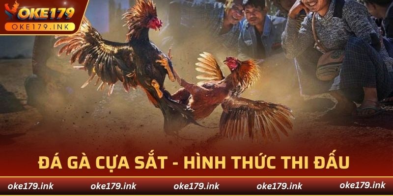 đá gà cựa sắt