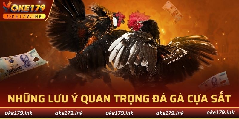 Loại hình được nhận định là môn thể thao đầy kịch tính