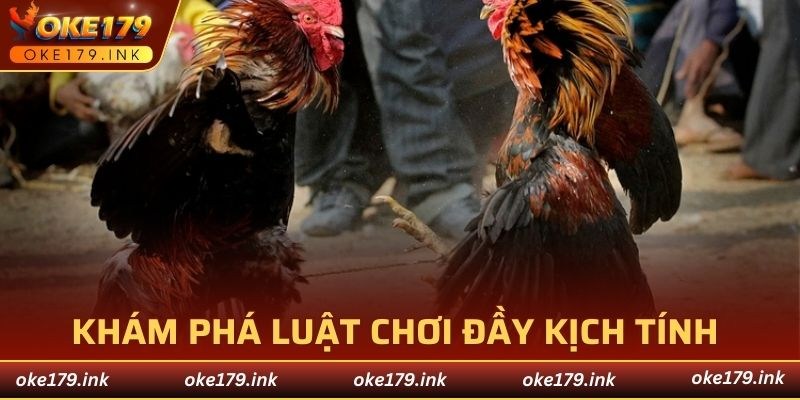 Mỗi chiến kê chỉ được sử dụng cựa sắt