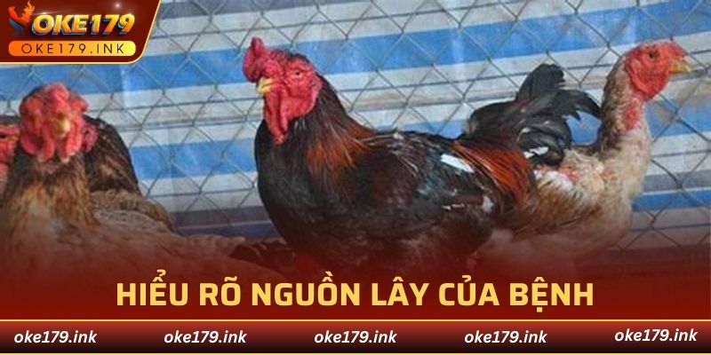 Nguyên nhân nhiễm khuẩn