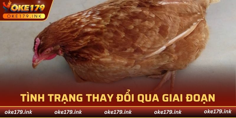 Quá trình chuyển biến nhanh chóng