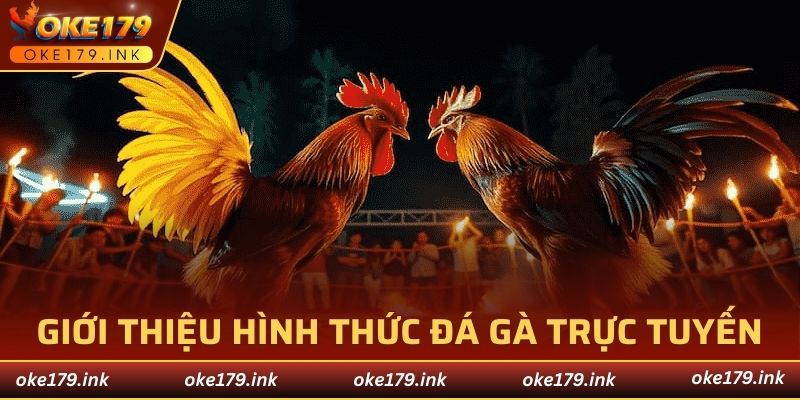 Thông tin sơ lược về hình thức đá gà trực tuyến tại OKE179