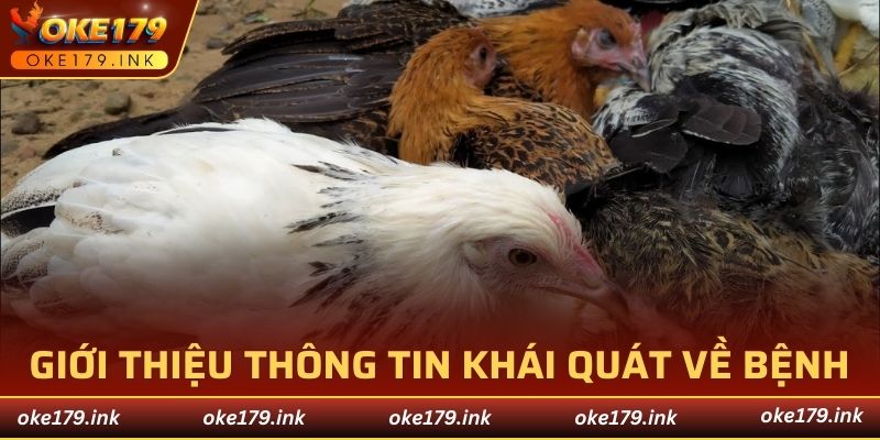 Thông tin về nguồn bệnh nguy hiểm