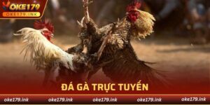 đá gà trực tuyến