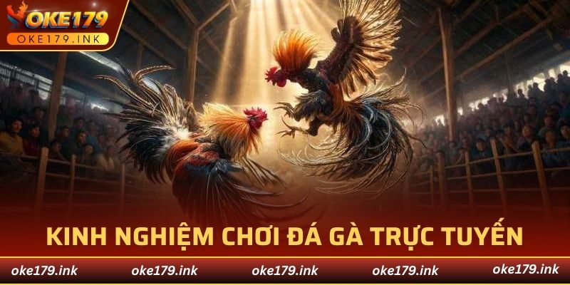 Tổng hợp kinh nghiệm chơi cá cược đá gà trực tuyến hiệu quả